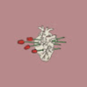 Meet your Posher, Miranda